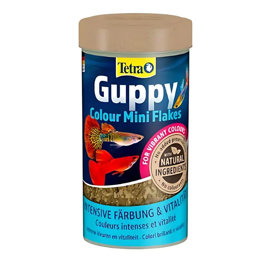 TETRA GUPPY COLOUR MİNİ FLAKES LEPİSTES PUL BALIK YEMİ 250 ML