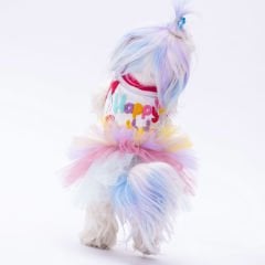 PAWSTAR HAPPY BİRTHDAY ELBİSE S-M-L-XL-2XL