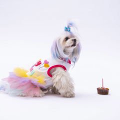 PAWSTAR HAPPY BİRTHDAY ELBİSE S-M-L-XL-2XL