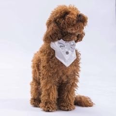 PAWSTAR GRİ SMOKİN FULAR 1