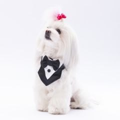 PAWSTAR SİYAH SMOKİN FULAR 1