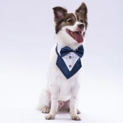 PAWSTAR LACİVERT SMOKİN FULAR 2
