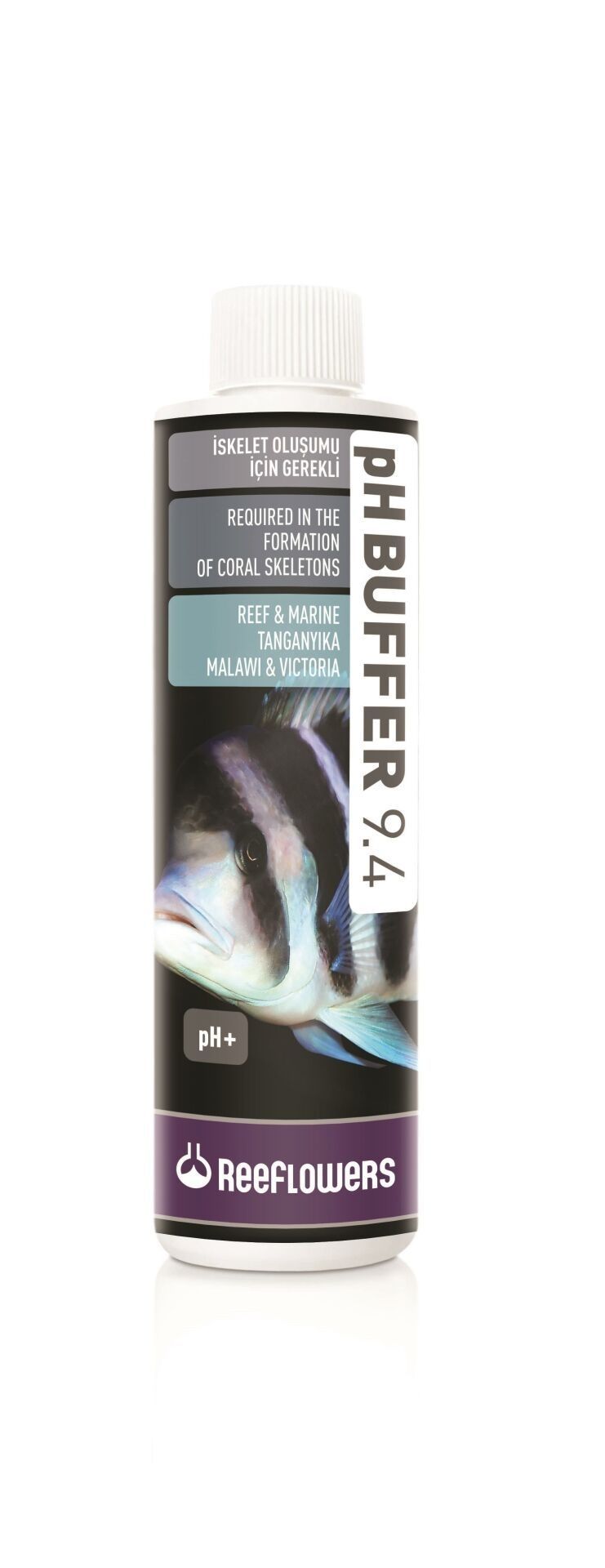 PH BUFFER 9.4 500 ML  İSKELET OLUŞUMU İÇİN GEREKLİ