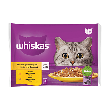 WHİSKAS POUCH KÜMES HAYVAN ÇEŞİTLERİ 4'LÜ
