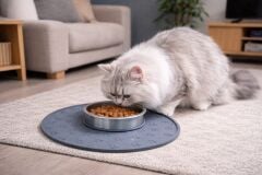 MAMA KABI PASPASI SİLİKON